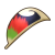 "Rainbow Feather" icon