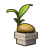 "Potted Coconut" icon