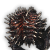 "Boarlet" icon