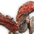 "Lesser Lurker" icon