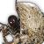 "Barnacle" icon