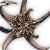 "Hydra" icon
