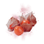 "Crimson Lantern Fruit" icon