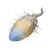 "Avian Tear" icon