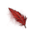 "Brilliant Red Feather" icon