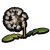 "Dandelion" icon