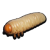 "Stuffed Grub" icon