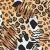 "Animals" icon