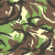 "DPM" icon