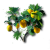 "Umbraline" icon