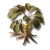 "Redjade Ginseng" icon