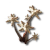 "Kalkodendra" icon