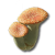 "Pink Bolete" icon