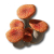 "Ruby Bolete" icon