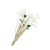 "Dendrobium Orchid" icon