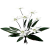 "False Starwort" icon