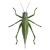 "Grasshopper" icon