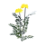 "Marigold" icon
