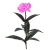 "Peony" icon