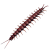 "Centipede" icon