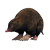 "Mole" icon