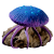 "BFJ" icon