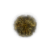 "Golden Rune [10]" icon
