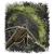 "Ash of War: Poison Moth Flight" icon