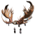 "Shining Horned Headband" icon
