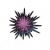 "Sea urchin" icon