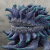 "Malboro Brat" icon