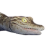 "Crocodile Hatchling" icon
