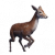 "Deer" icon
