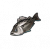 "Silver bass" icon
