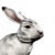 "Rabbit" icon