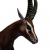 "Gazelle" icon