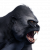 "Grey  Ape" icon