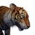 "Tiger" icon