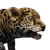 "Jaguar Cub" icon