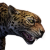 "Jaguar" icon