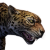 "Jaguar" icon