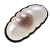 "Black Ant Egg" icon