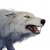 "Dire Wolf" icon