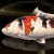 "Marble Lucian Carp" icon