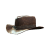 "Cowboy Hat" icon