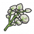 "Salty Herba Mystica" icon