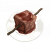 "Sandora Dragon Steak Tips" icon