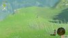 blue_sparrow_1_necluda_surface_map_zelda_totk-ca1c1b92.jpg