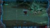 frost_pebb-07b337f1.jpg
