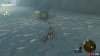 treasure_octorok_1_necluda_surface_map_zelda_totk-e8ad64a1.jpg